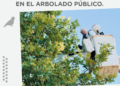 El Municipio cañadense realiza este sábado la aplicación de repelente para palomas en el arbolado público de calle Ocampo