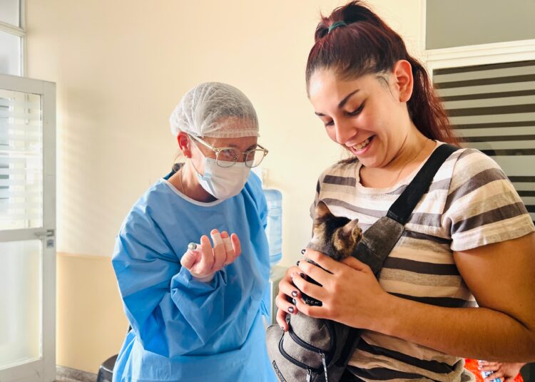Cronograma de castraciones y vacunación antirrábica para el mes de enero