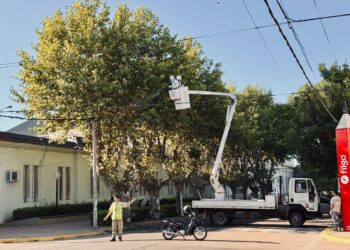 La municipalidad inicia trabajos para controlar la presencia de palomas en el centro de Cañada de Gómez
