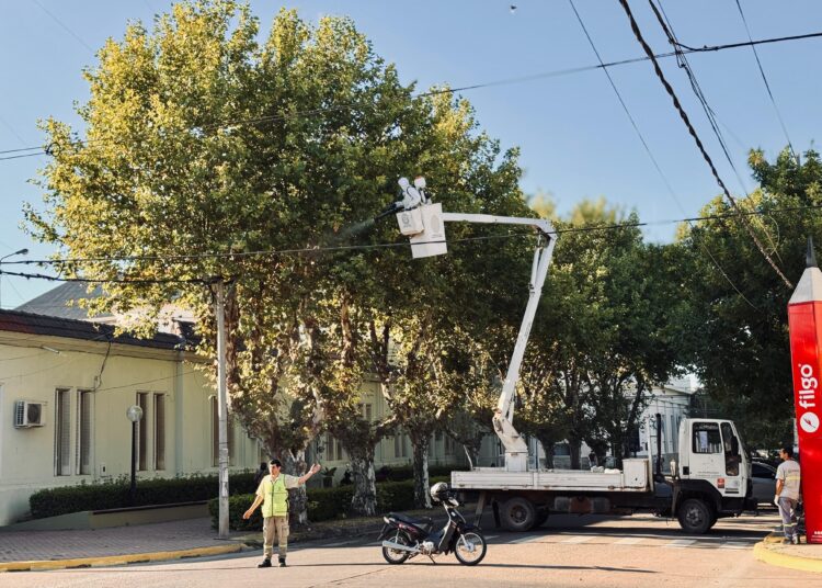 La municipalidad inicia trabajos para controlar la presencia de palomas en el centro de Cañada de Gómez