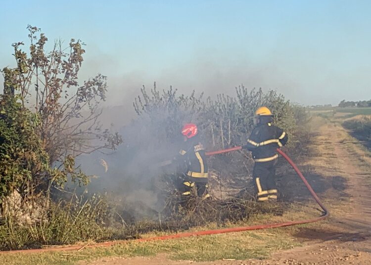 Incendio en un campo de soja al norte de Cañada de Gómez