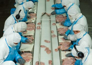 Argentina logró la apertura del mercado de Corea para la exportación de carne aviar