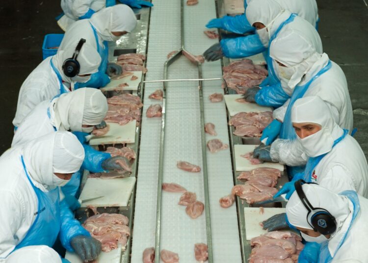 Argentina logró la apertura del mercado de Corea para la exportación de carne aviar