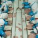 Argentina logró la apertura del mercado de Corea para la exportación de carne aviar