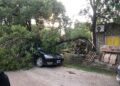 Cañada de Gómez: Una rama de gran porte cayó sobre un auto estacionado