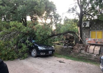 Cañada de Gómez: Una rama de gran porte cayó sobre un auto estacionado