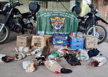 “Los Pumas” de Cañada de Gómez actuaron ante un caso de “Maltrato Animal”