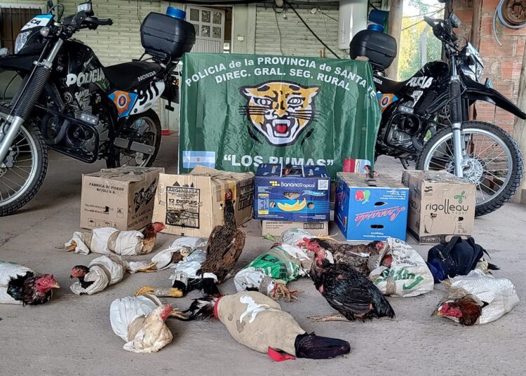 “Los Pumas” de Cañada de Gómez actuaron ante un caso de “Maltrato Animal”