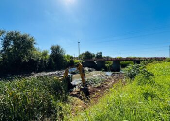 El municipio inicia la limpieza del arroyo con maquinaria propia