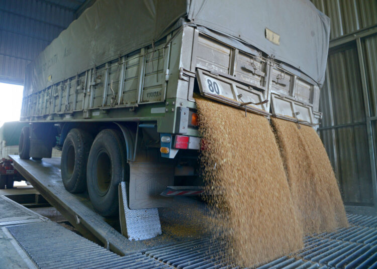 El Gobierno Nacional eliminó el Registro Único de la Cadena Agroindustrial (RUCA) y avanza en la simplificación administrativa del sector agropecuario