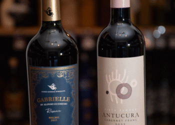 EL FRÍO TRAE ENCUENTROS Y CINE EN CASA, Y CLUB DE DI DINÈE TE ACONSEJA TENER ESTAS DOS OPCIONES EN TU CAVA DE VINOS PARA DISFRUTARLOS