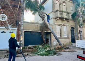 La municipalidad de Cañada de Gómez interviene distintos puntos de la ciudad tras la tormenta