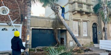 La municipalidad de Cañada de Gómez interviene distintos puntos de la ciudad tras la tormenta
