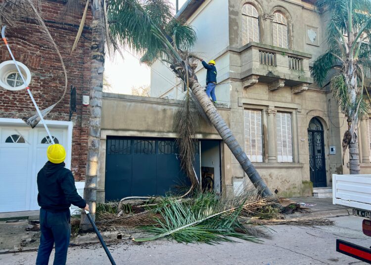 La municipalidad de Cañada de Gómez interviene distintos puntos de la ciudad tras la tormenta