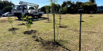 La Municipalidad de Cañada de Gómez celebra la semana del árbol con propuestas educativas y comunitarias