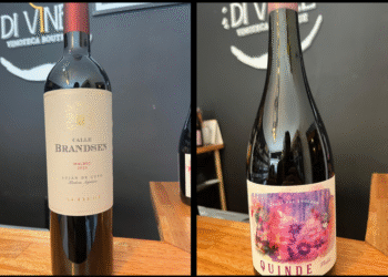 EN SEPTIEMBRE, DI VINÈE RECOMIENDA PROBAR CALLE BRANDSEN MALBEC Y  QUINDE FREISA