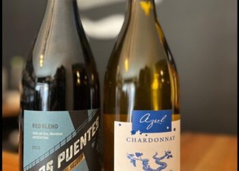 DI VINÈE SELECCIONÓ DOS EXQUISITAS VARIEDADES DE VINOS PARA OCTUBRE Y YA ESTÁN EN NUESTRO LOCAL PARA RETIRARLOS