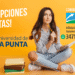 FUDECA INFORMA QUE YA ESTÁN INSCRIPCIONES ABIERTAS A CARRERAS VIRTUALES DE LA UNIVERSIDAD DE LA PUNTA
