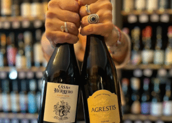 Llegó el último mes del 2025 y Di Vinèe quiere brindar con vos presentándote dos tremendos vinos de su club