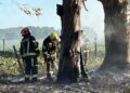 Incendio rural en el sector conocido como El Castillo, al sur de Cañada de Gómez