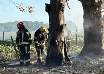 Incendio rural en el sector conocido como El Castillo, al sur de Cañada de Gómez