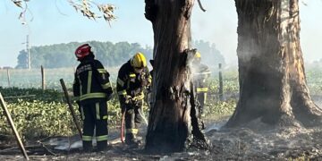 Incendio rural en el sector conocido como El Castillo, al sur de Cañada de Gómez