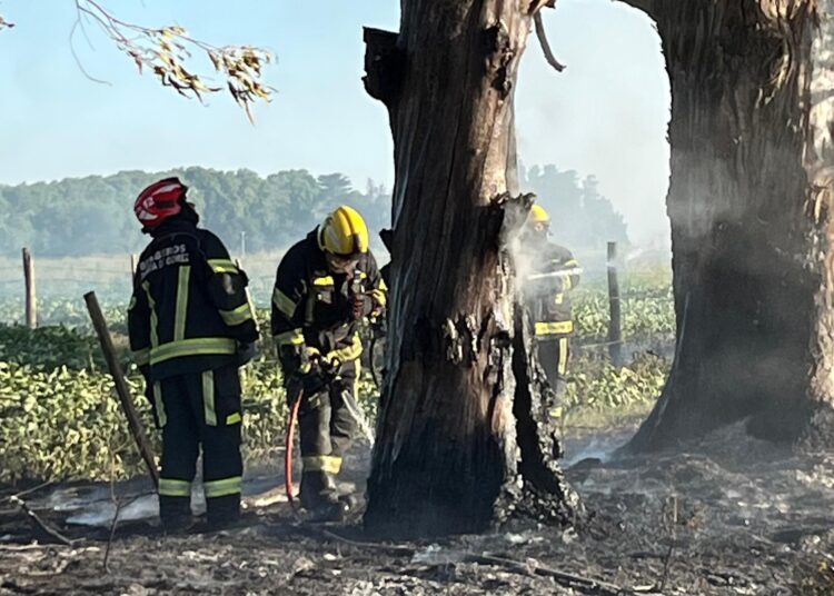 Incendio rural en el sector conocido como El Castillo, al sur de Cañada de Gómez