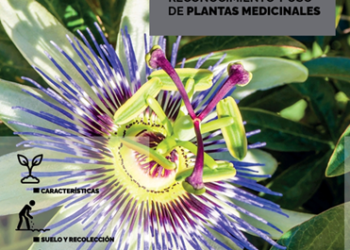 La UNR presenta el proyecto farmacia viva – Por Ivana Isasa