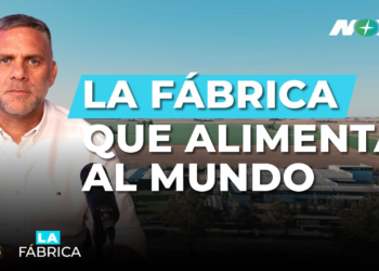 Mauro Piva: «En biotecnología, el mercado es el mundo y el techo lo ponemos nosotros»