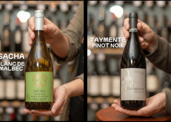 Hacete socio del club Di Vinèe y disfrutá de los mejores vinos cada mes: para febrero tenemos dos excepcionales propuestas