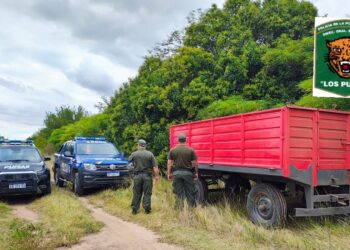 Las Rosas: Recuperaron un acoplado robado valuado en 5 millones 