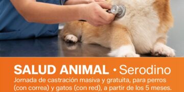 Quirófano móvil de Iriondo: Se realizará una nueva jornada de castración masiva en Serodino