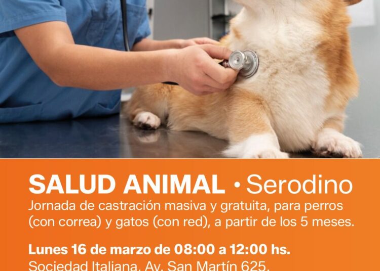 Quirófano móvil de Iriondo: Se realizará una nueva jornada de castración masiva en Serodino