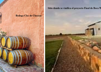 CLUB DE VINOS DI VINÈE TIENE DOS PROPUESTAS PARA ABRIL QUE SON UNA LOCURA