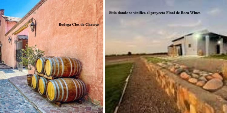 CLUB DE VINOS DI VINÈE TIENE DOS PROPUESTAS PARA ABRIL QUE SON UNA LOCURA