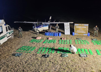 Villa Eloísa: Todos los detalles sobre la aeronave que interseptaron con más de 300 kilos de cocaína en un campo