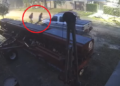 (VIDEO IMPACTANTE) Cañada de Gómez: Dos delincuentes armados a bordo un vehículo intentaron cometer ilícito contra un vecino