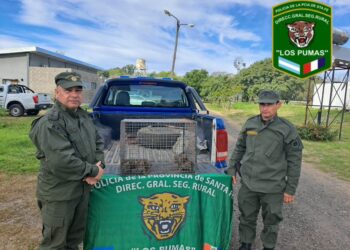 La guardia rural “Los Pumas” de Las Rosas rescato animales silvestres hallados en Montes de Oca