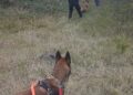 Bomberos de ABZ Rafaela rescataron a un joven con pedido de paradero y auxiliaron a dos animales en distintas intervenciones