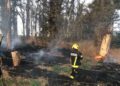 Detalles del incendio registrado en el monte Las Trojas
