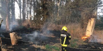 Detalles del incendio registrado en el monte Las Trojas