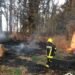 Detalles del incendio registrado en el monte Las Trojas