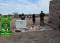 Los Pumas de San Jorge detuvieron a una mujer investigada por abigeato calificado