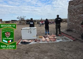 Los Pumas de San Jorge detuvieron a una mujer investigada por abigeato calificado