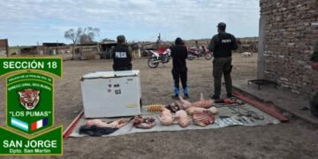 Los Pumas de San Jorge detuvieron a una mujer investigada por abigeato calificado