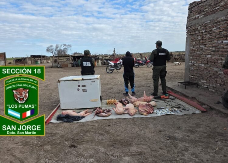 Los Pumas de San Jorge detuvieron a una mujer investigada por abigeato calificado