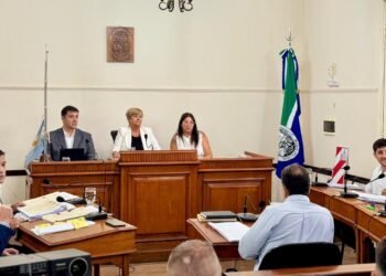 EDILES LOCALES REPUDIAN EL MALTRATO DE STELLA CLERICI A LA SECRETARIA DEL CONCEJO