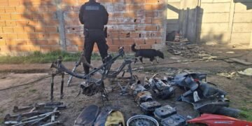 VENADO TUERTO: MÚLTIPLES ALLANAMIENTOS PERMITIERON SECUESTRAR AUTOPARTES Y TRASLADAR A TRES PERSONAS