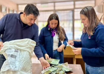 LA MUNICIPALIDAD DE CAÑADA DE GÓMEZ Y EL INTA PROMUEVEN LA HUERTA FAMILIAR Y LA PRODUCCIÓN SUSTENTABLE